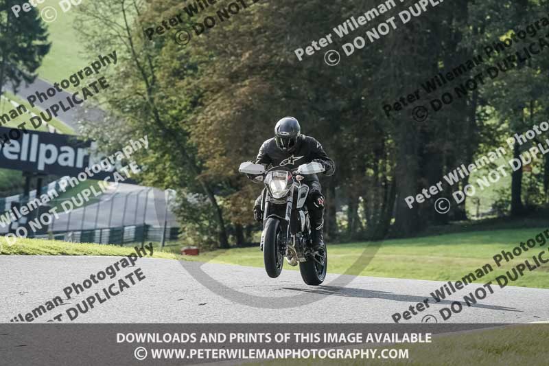 cadwell no limits trackday;cadwell park;cadwell park photographs;cadwell trackday photographs;enduro digital images;event digital images;eventdigitalimages;no limits trackdays;peter wileman photography;racing digital images;snetterton;snetterton no limits trackday;snetterton photographs;snetterton trackday photographs;trackday digital images;trackday photos
